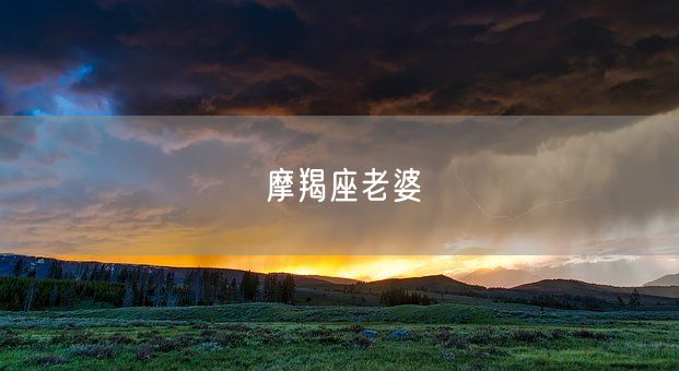 摩羯座老婆(图1)