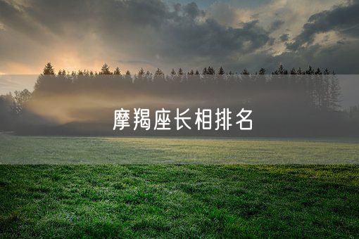 摩羯座长相排名(图1)