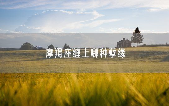 摩羯座缠上哪种孽缘(图1)