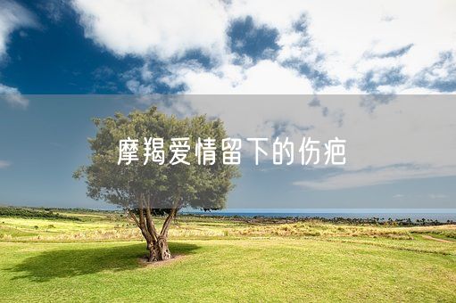 摩羯爱情留下的伤疤(图1)