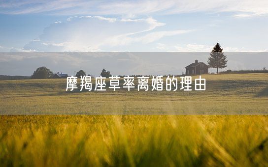 摩羯座草率离婚的理由(图1)