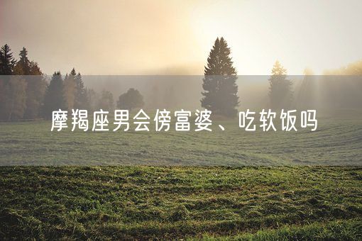 摩羯座男会傍富婆、吃软饭吗(图1)