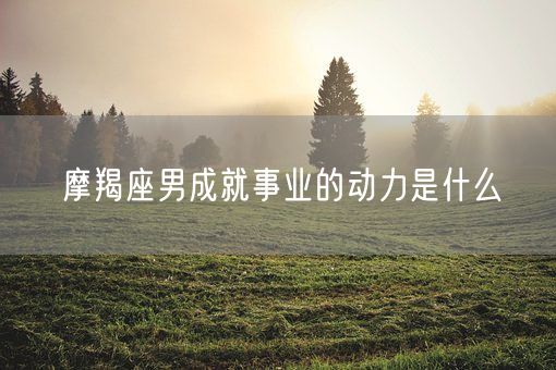 摩羯座男成就事业的动力是什么(图1)