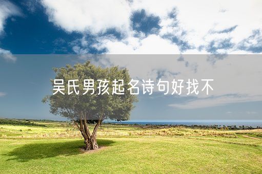 吴氏男孩起名诗句好找不(图1)