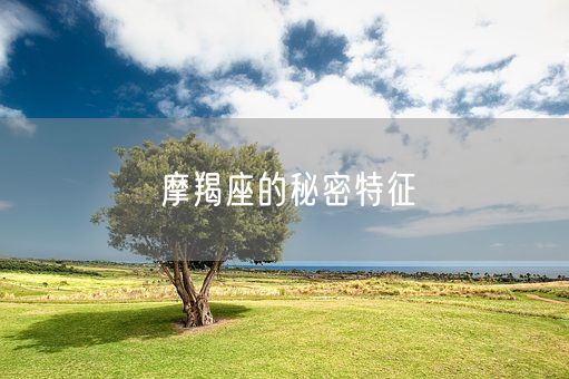 摩羯座的秘密特征(图1)