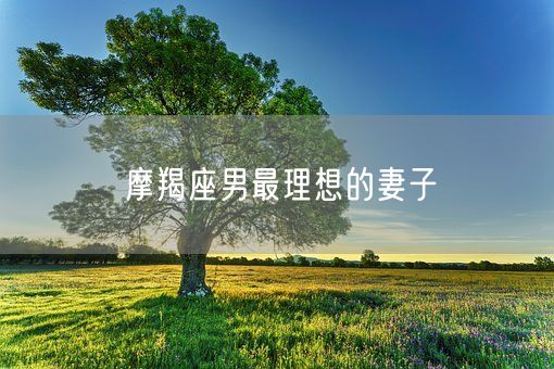 摩羯座男最理想的妻子(图1) 摩羯座男最理想的妻子(图1)