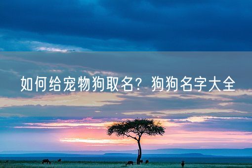 如何给宠物狗取名？狗狗名字大全(图1)