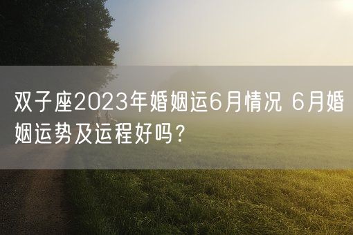 双子座2023年婚姻运6月情况 6月婚姻运势及运程好吗？(图1)