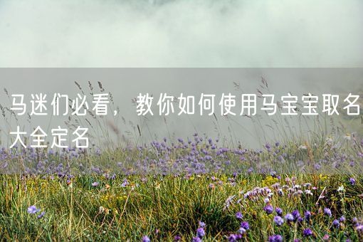 马迷们必看，教你如何使用马宝宝取名大全定名(图1)