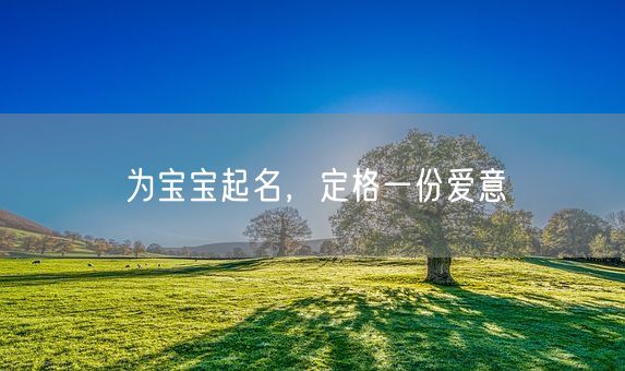 为宝宝起名，定格一份爱意(图1)