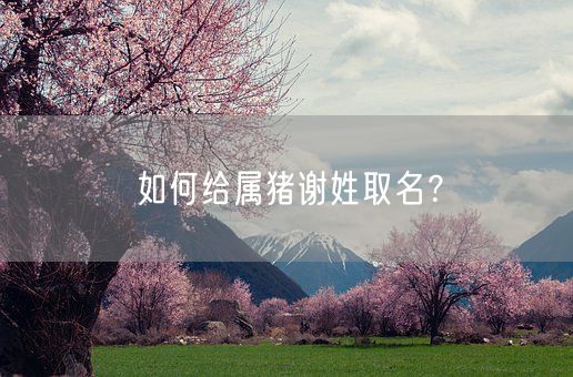 如何给属猪谢姓取名？(图1)