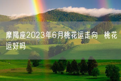 摩羯座2023年6月桃花运走向  桃花运好吗(图1)