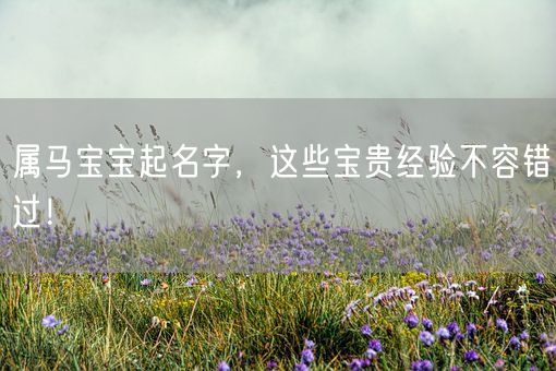 属马宝宝起名字，这些宝贵经验不容错过！(图1)