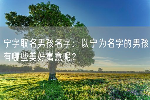 宁字取名男孩名字：以宁为名字的男孩有哪些美好寓意呢？(图1)