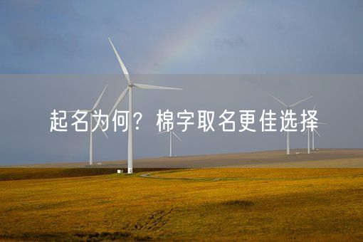 起名为何？棉字取名更佳选择(图1)