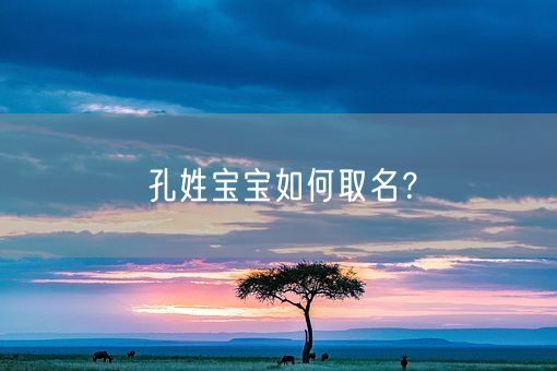 孔姓宝宝如何取名？(图1)