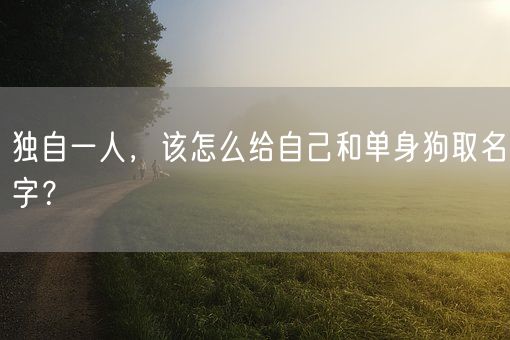 独自一人，该怎么给自己和单身狗取名字？(图1)