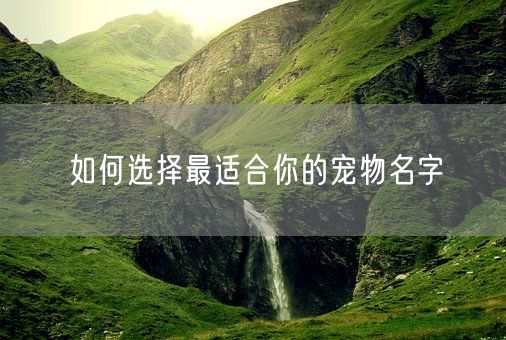 如何选择最适合你的宠物名字(图1)