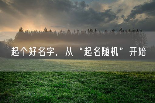 起个好名字，从“起名随机”开始(图1)