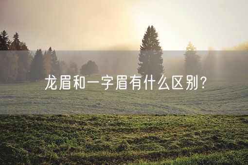 龙眉和一字眉有什么区别？(图1)