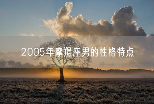 2005年摩羯座男的性格特点(图1) 2005年摩羯座男的性格特点(图1)