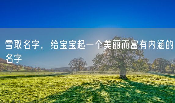 雪取名字，给宝宝起一个美丽而富有内涵的名字(图1)