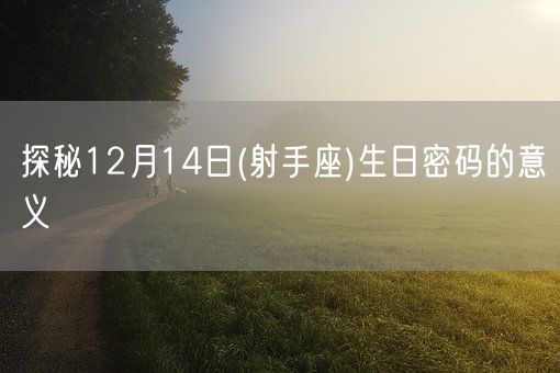 探秘12月14日(射手座)生日密码的意义(图1)