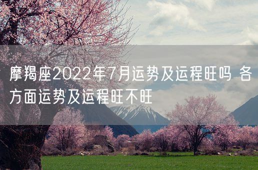 摩羯座2022年7月运势及运程旺吗 各方面运势及运程旺不旺(图1) 摩羯座2022年7月运势及运程旺吗 各方面运势及运程旺不旺(图1)