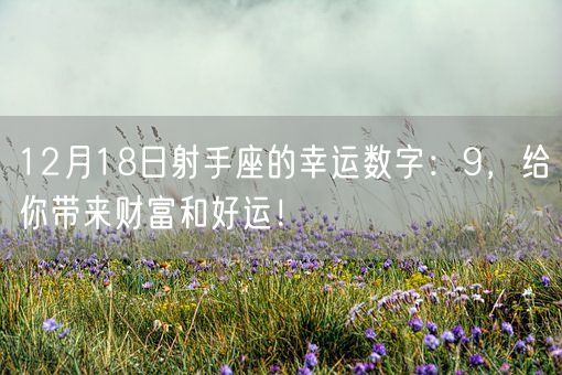 12月18日射手座的幸运数字：9，给你带来财富和好运！(图1)