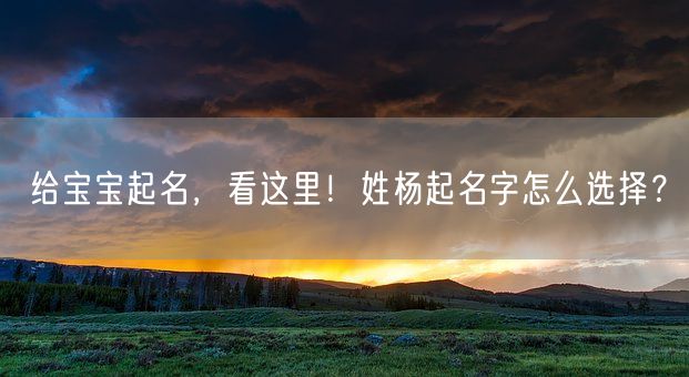 给宝宝起名，看这里！姓杨起名字怎么选择？(图1)