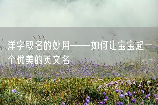 洋字取名的妙用——如何让宝宝起一个优美的英文名(图1)