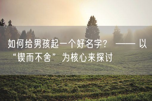 如何给男孩起一个好名字？ —— 以“锲而不舍”为核心来探讨(图1)