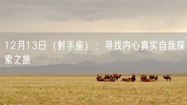12月13日（射手座）：寻找内心真实自我探索之旅(图1)