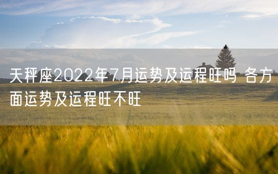 天秤座2022年7月运势及运程旺吗 各方面运势及运程旺不旺(图1)