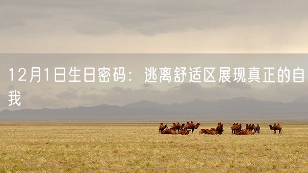 12月1日生日密码：逃离舒适区展现真正的自我(图1)