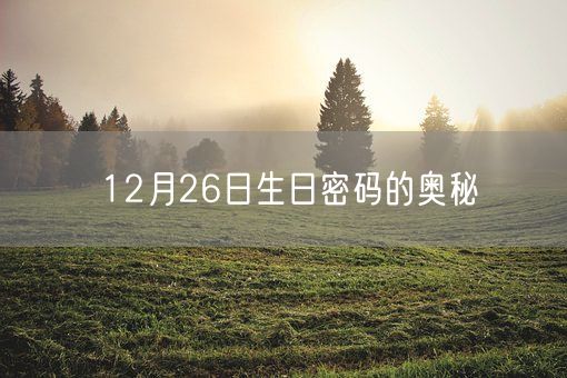 12月26日生日密码的奥秘(图1) 12月26日生日密码的奥秘(图1)