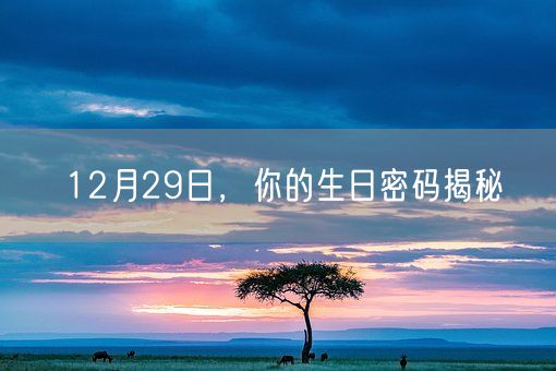 12月29日，你的生日密码揭秘(图1)