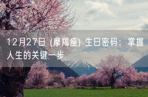 12月27日 (摩羯座) 生日密码：掌握人生的关键一步(图1)
