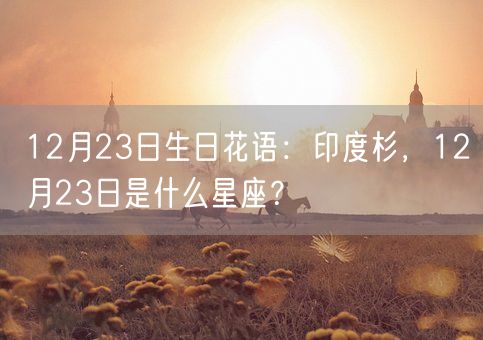 12月23日生日花语：印度杉，12月23日是什么星座？(图1)