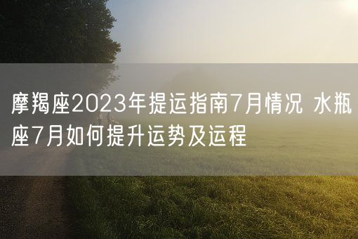 摩羯座2023年提运指南7月情况 水瓶座7月如何提升运势及运程(图1)
