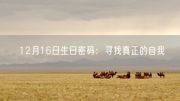 12月16日生日密码：寻找真正的自我(图1)