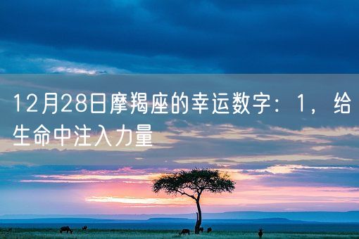12月28日摩羯座的幸运数字：1，给生命中注入力量(图1)