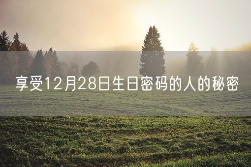 享受12月28日生日密码的人的秘密(图1)