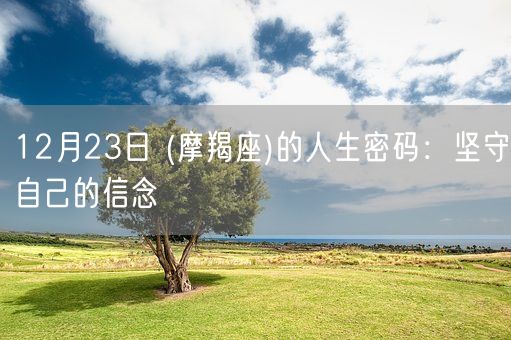 12月23日 (摩羯座)的人生密码:坚守自己的信念(图1) 12月23日 (摩羯座)的人生密码:坚守自己的信念(图1)