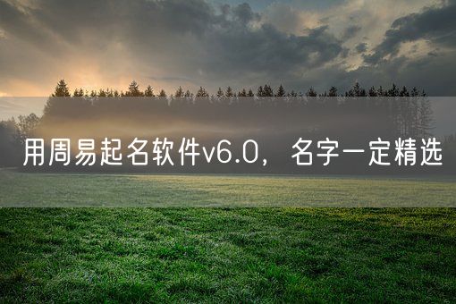 用周易起名软件v6.0，名字一定精选(图1)