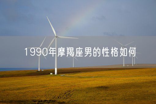 1990年摩羯座男的性格如何(图1)