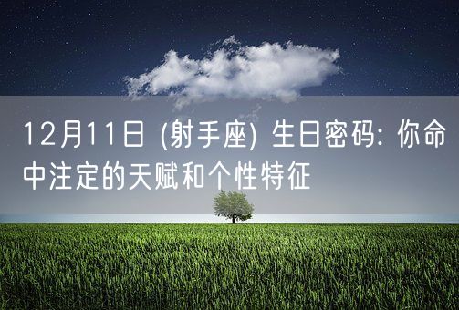 12月11日 (射手座) 生日密码: 你命中注定的天赋和个性特征(图1)