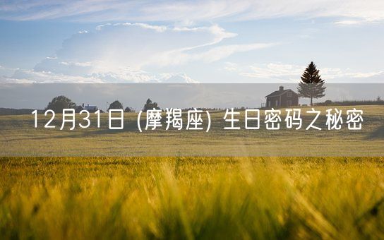 12月31日 (摩羯座) 生日密码之秘密(图1)