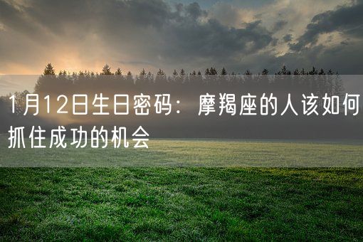 1月12日生日密码:摩羯座的人该如何抓住成功的机会(图1) 1月12日生日密码:摩羯座的人该如何抓住成功的机会(图1)