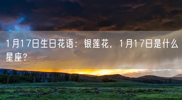 1月17日生日花语：银莲花，1月17日是什么星座？(图1)